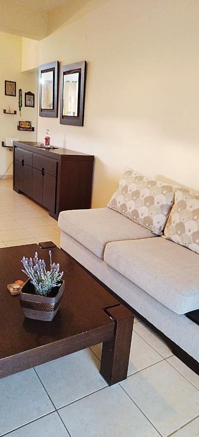 Holiday & Business Furnished Apartments 미티카스 외부 사진